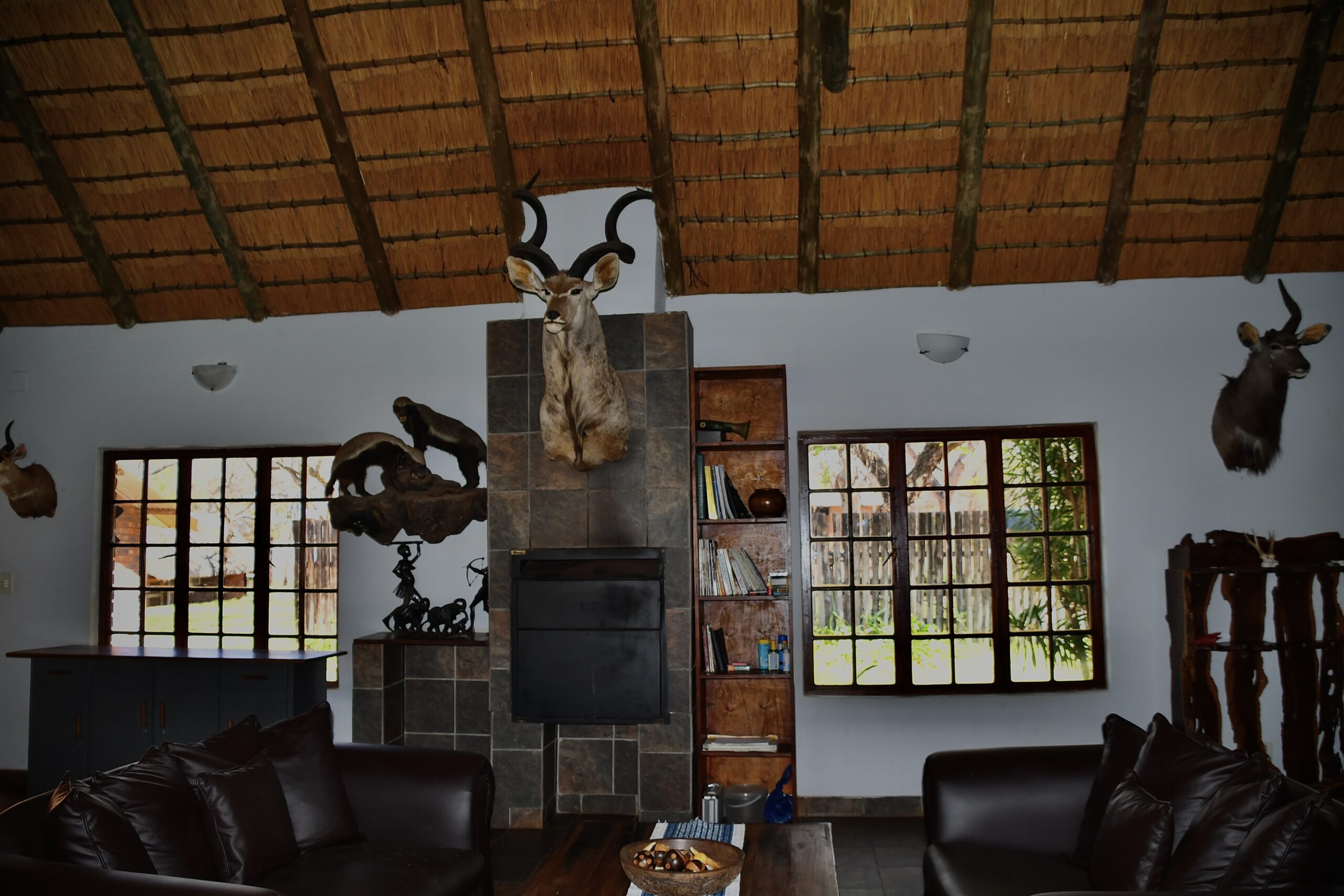 Marula Safaris